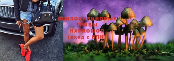 прущая мука Алзамай