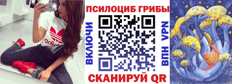 магазин Заволжск Псилоцибиновые грибы MAGIC MUSHROOMS