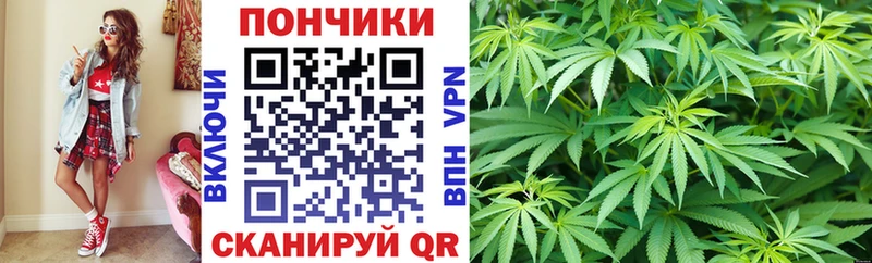 наркота  Заволжск  Шишки марихуана White Widow 